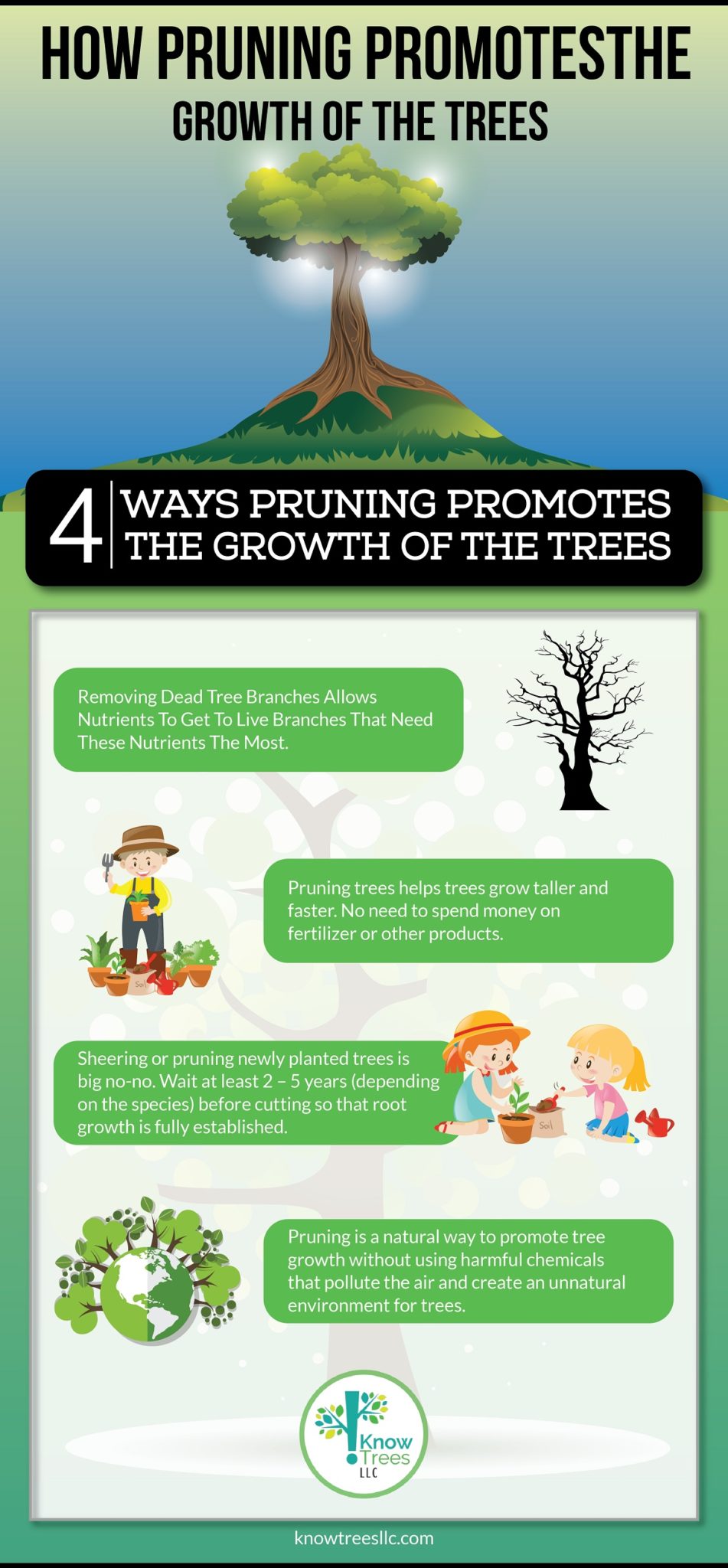 KnowTrees - Pruning Promotes the Growth of The Trees